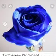 kyoの画像