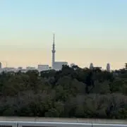 つなの画像