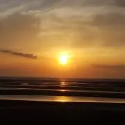 みるきーの画像