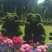 minoakaの画像