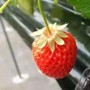 □の画像