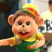 どんくん☆即購入OK‼︎の画像