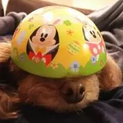 なが