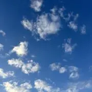 miiの画像