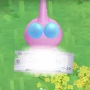 もん