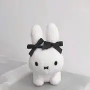 Nanaの画像