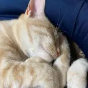Yukiの画像