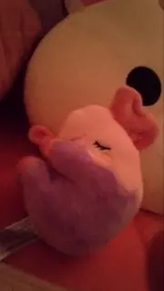ずずみの画像