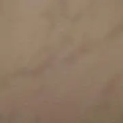 呑んたん
