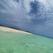 みむの画像