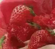 みんとの画像