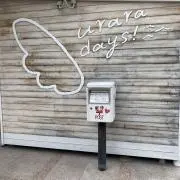 tymの画像