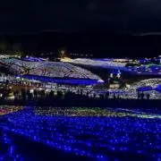 こんにちは。