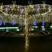 プロフ
