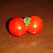 あみゅれっとの画像