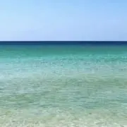 みるくの画像
