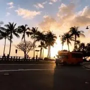 Oguri☆即日発送☆の画像