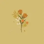 mo-【即購入OK】の画像
