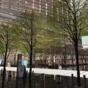 けむの画像
