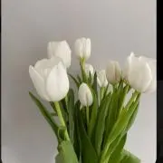 liiiの画像