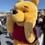キノピー