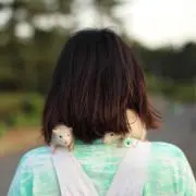 とまと　即購入可能の画像