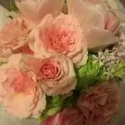 にんじゃまる　複数購入で値引きます！の画像