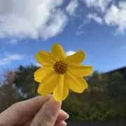 森下の画像
