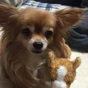 あーちゃん