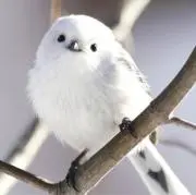 2900