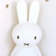 ずみの画像