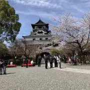 だっちの画像