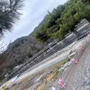 にっちゃんの画像