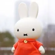 Yuriの画像