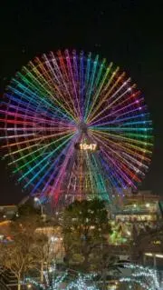 miruの画像