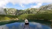 たまの画像
