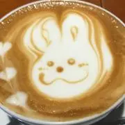 まいまいの画像