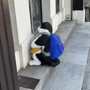 ちの画像