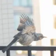 ぺーぺーの画像