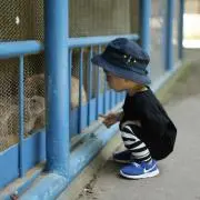 tmcの画像