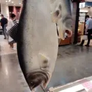 木金土日は翌週配送の画像