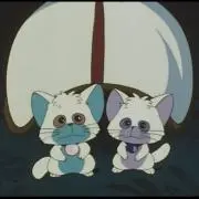 ぷりん（断捨離）の画像