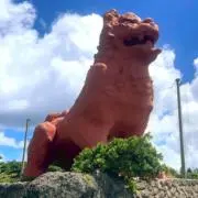 ココの画像