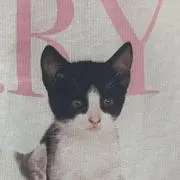 yonの画像