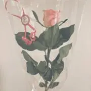 おさつのお店屋さん（おさつの雑貨屋さん）の画像