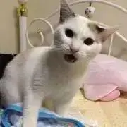 R   必ずプロフご確認をm(_ _)mの画像