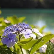 まりお◆断捨離中◆の画像