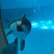 maru maruの画像