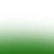ne-koの画像