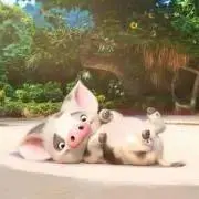Pua♡プロフ読んでね↓